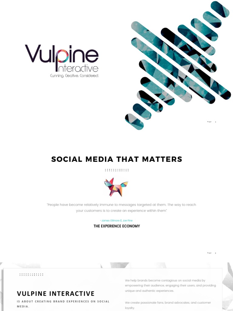 Sample Marketing Strategy | PDF | Brand | Popular Culture & Media Studies