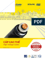 Cap Cao The Fa 112021
