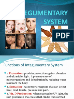 Integumentary System