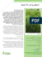 Project Brief Salicornia Arabic Web 0
