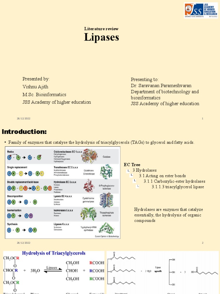 lipase literature review PDF Digestion Lipid