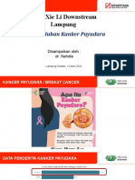 Xie Li DS Lampung - Penyuluhan Kanker Payudara