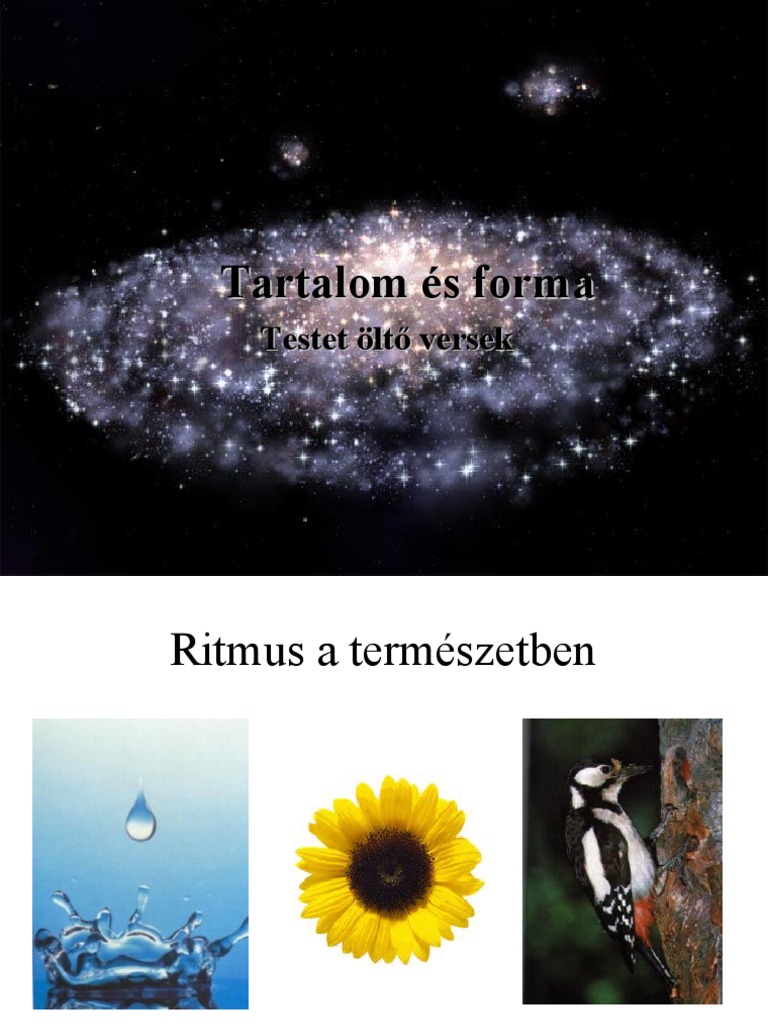 A Ritmus | PDF