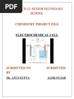 Chem Alok