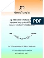 ATP Slide