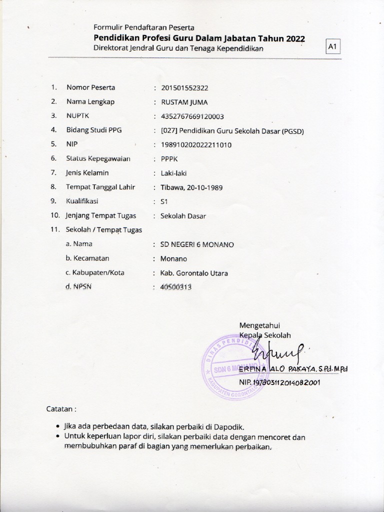 Pendidikan Profesi Guru | PDF