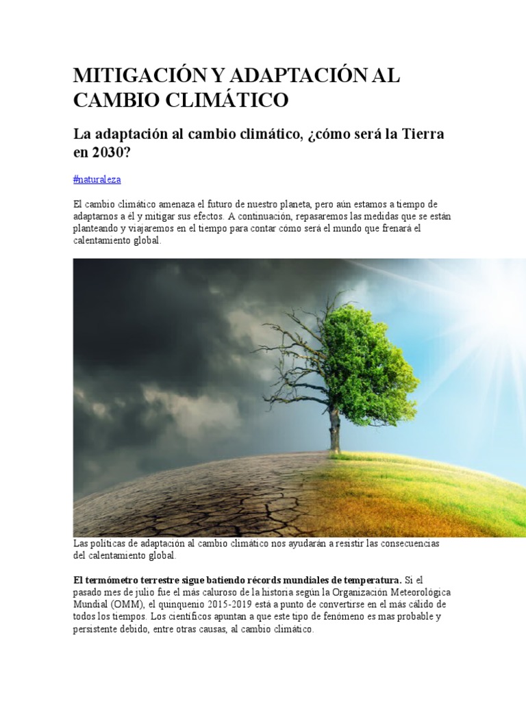 Medidas de Mitigación y Adaptación Climática | PDF | Mitigación del ...