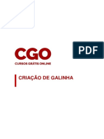 Criação de Galinha