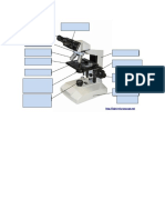 Microscopio para estudiar