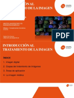 Introducción Al Tratamiento de La Imagen