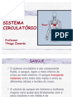 Sistema Circulatório