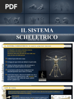 Sistema Scheletrico