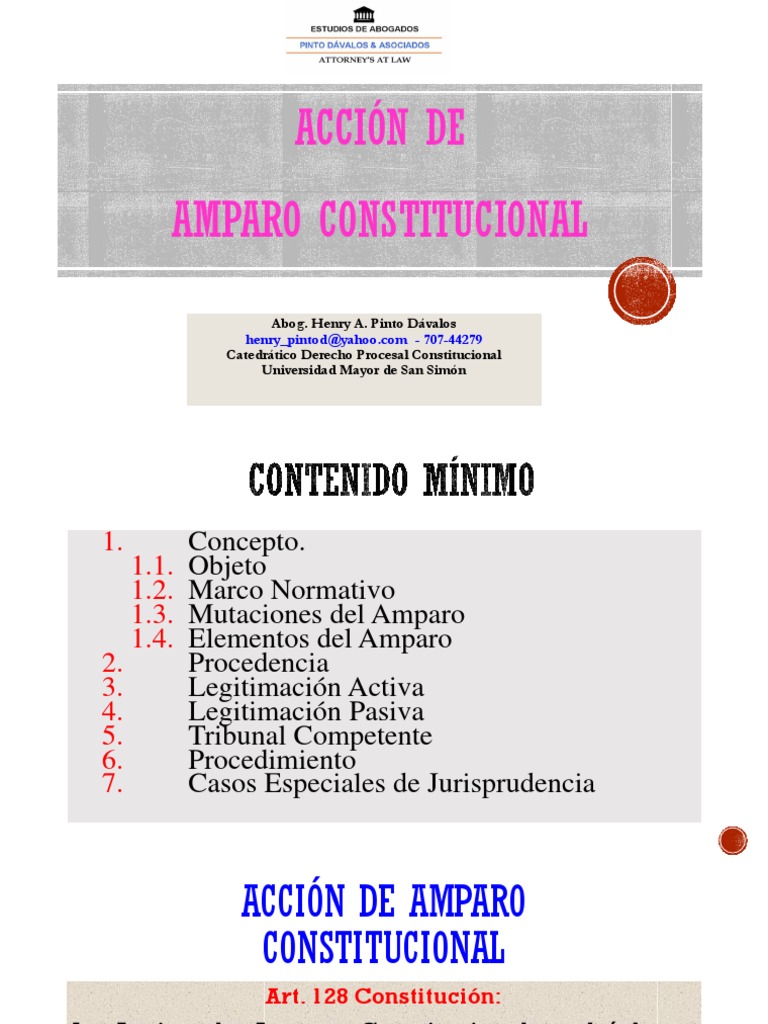 Acción de Amparo Constitucional en Bolivia | PDF | Caso de ley | Ley ...