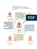 人体各系统之间的关系