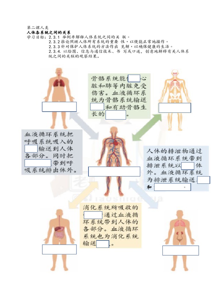 人体各系统之间的关系| PDF, image size:768x1024