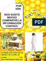 Las Abejas Nivel Inicial