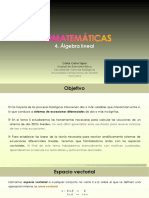 Apuntes - 4. Álgebra Lineal en PDF