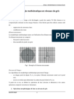 Morphologie Mathématique en Niveaux de Gris