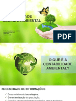 Aula 1 - O Que É A Contabilidade Ambiental