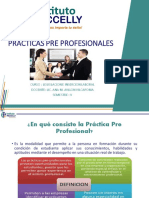 Tema 11. Practicas Pre Profesionales