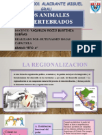 Regionalizacion