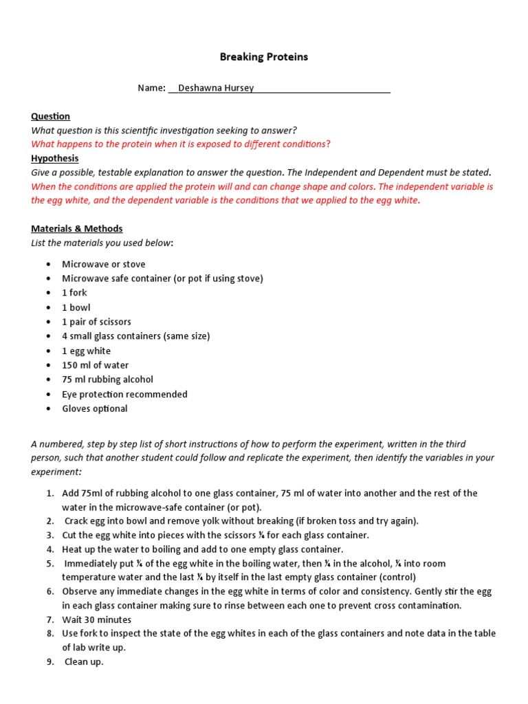 Denature Protein Lab Write Up PDF Denaturation (Biochemistry) Egg