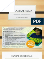 Program Kerja Kalimantan