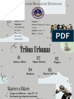 Tribus Urbanas - Trabajo Grupal