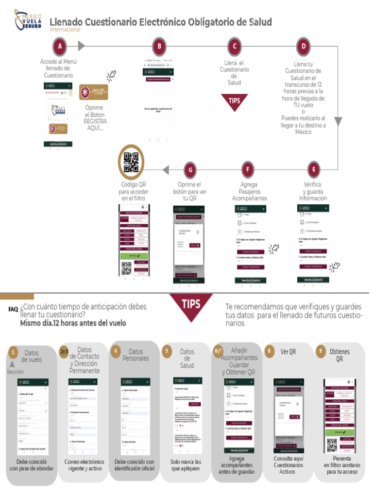 Guía Vuela Seguro Internacional PDF Informática