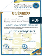 Gestion Pedagogica Diplomado Unjfsc