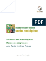 Marcos_Conceptuales_SSE