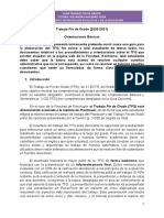 Orientaciones Trabajo Fin de Grado - Alejandra Navarro 2020-21