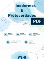 Equinodermos & Protocordados (1)