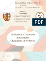 Gobierno y Ciudadamia Participacion y Interculural - Sociedad y Cultura