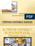 Peritaje Contable Judicial Semana 7 2022-II