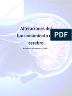 Alteraciones Del Funcionamiento Del Cerebro