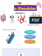 Laboratorio Semana 03