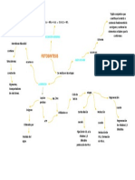 Mapa 03 Bioquimoic