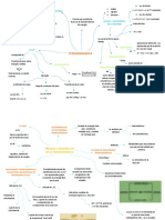 Mapa Tema 01 Bioquimica