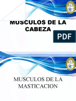 B104 Musculos Cabeza