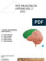 Pretest Praktikum Anatomi Gel