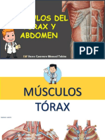 Músculos Del Tórax y Abdomen