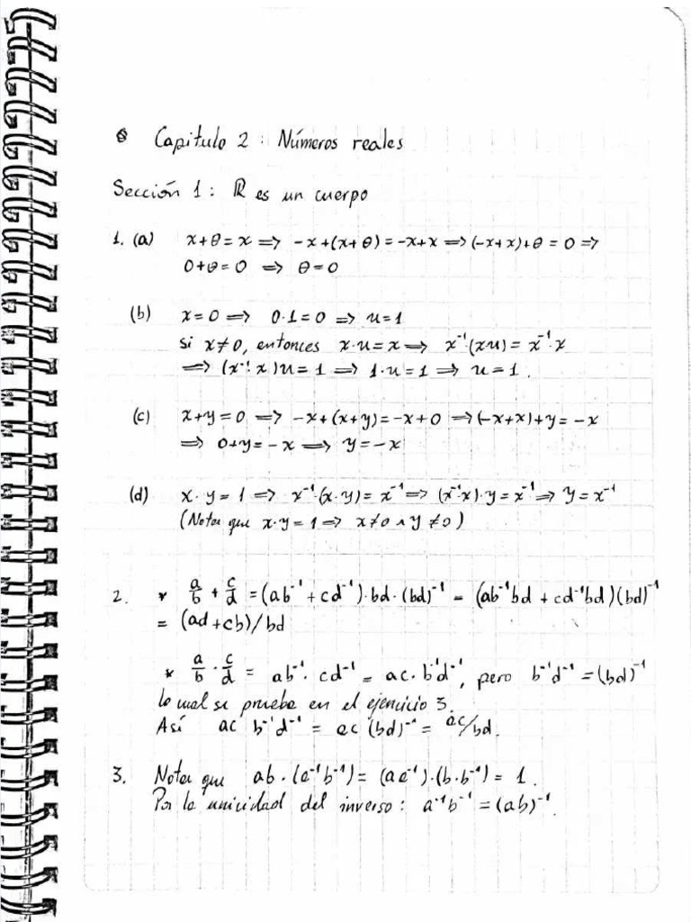 PDF Ejercicios Resueltos Capitulo 1 Elon Lima Analise Real - Compress | PDF