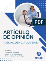 Articulo de Opinion