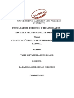 CLASIFICACIÓN DE LOS PRINCIPIOS DEL PROCESO LABORAL - Actividad 4