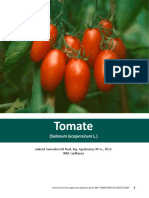 Capitulo 1. Tomate