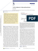 Substrate Selectivity of The Sublancin S-Glycosyltransferase