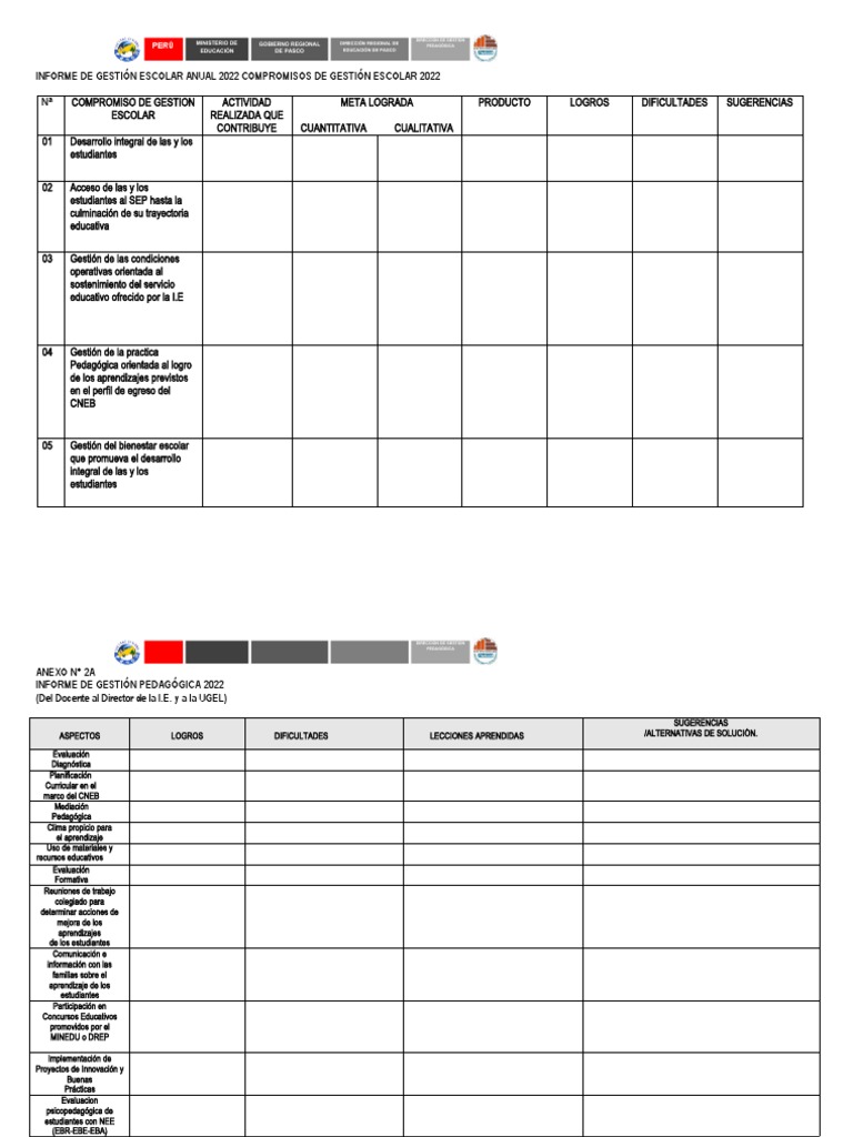 Informe Anual de Gestión Escolar 2022 | PDF | Evaluación | Aprendizaje
