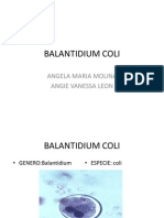 Balantidium Coli