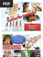 Genética  e Teorias da Evolução